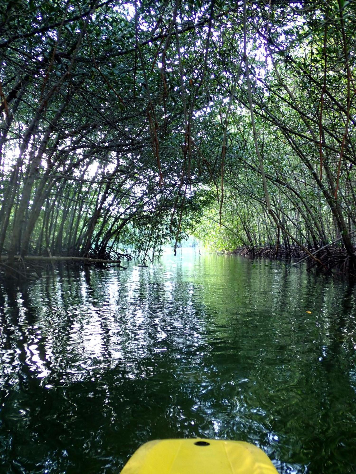 Eskapo Verde Lodge Moalboal Badian Zewnętrze zdjęcie